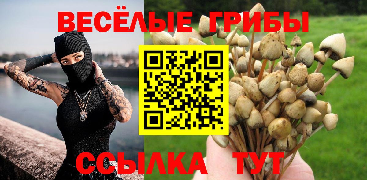 Галлюциногенные грибы мицелий Рассказово