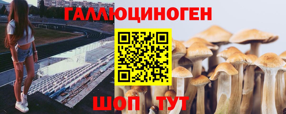 Псилоцибиновые грибы Psilocybe  Галлюциногенные грибы мицелий  Рассказово  Вход с VPN 